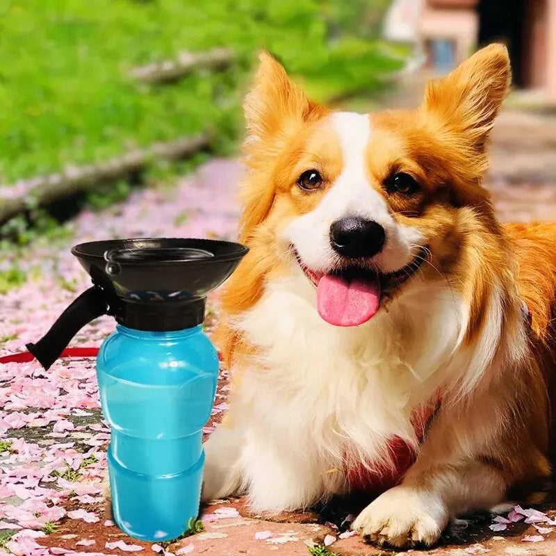 Dog Water Bottle