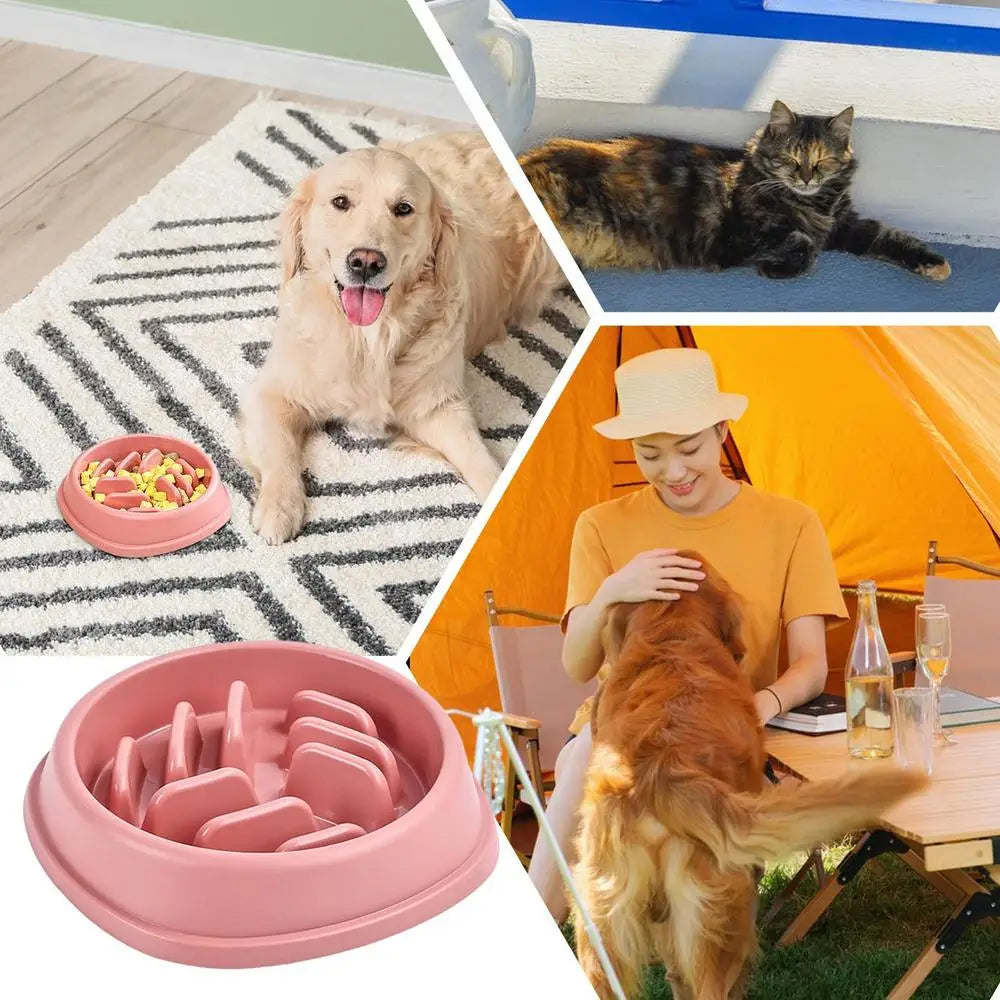 Dog Slow Feeder Bowl