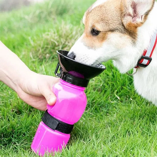 Dog Water Bottle